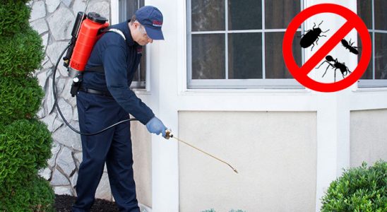 Kırşehir Tahtakurusu İlaçlama böcek ilaçlama ve haşere kontrolü — ilaclama-tr.com